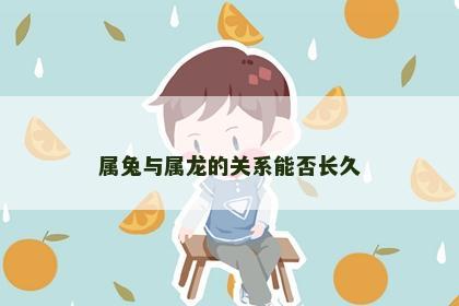 属兔与属龙的关系能否长久