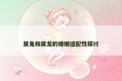 属兔和属龙的婚姻适配性探讨