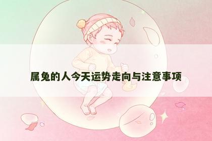 属兔的人今天运势走向与注意事项