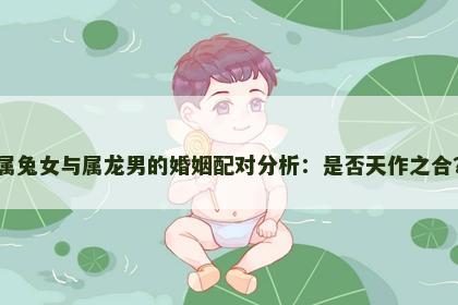 属兔女与属龙男的婚姻配对分析：是否天作之合？