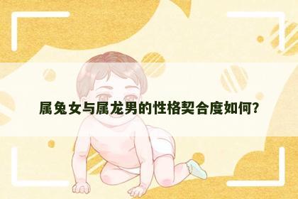 属兔女与属龙男的性格契合度如何？