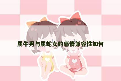 属牛男与属蛇女的感情兼容性如何