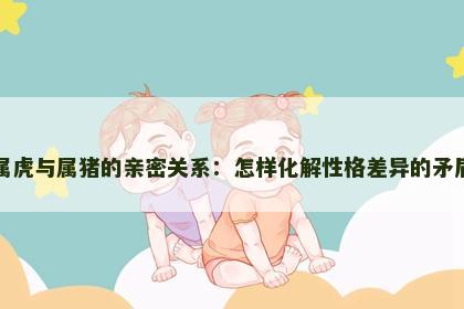 属虎与属猪的亲密关系：怎样化解性格差异的矛盾