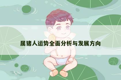 属猪人运势全面分析与发展方向