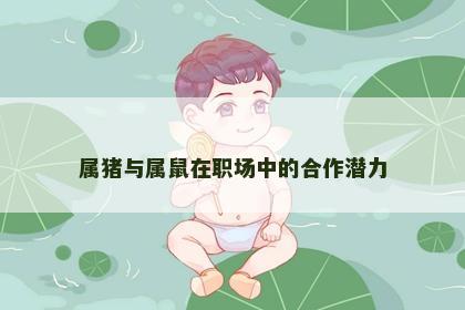 属猪与属鼠在职场中的合作潜力