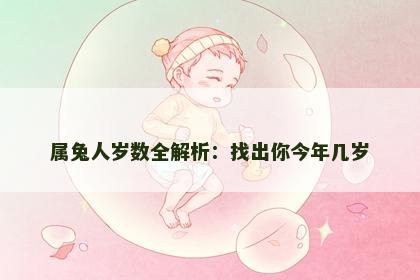 属兔人岁数全解析：找出你今年几岁