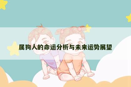 属狗人的命运分析与未来运势展望