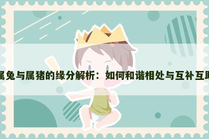 属兔与属猪的缘分解析：如何和谐相处与互补互助