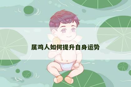 属鸡人如何提升自身运势
