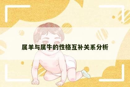 属羊与属牛的性格互补关系分析