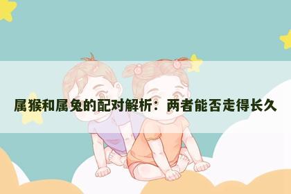 属猴和属兔的配对解析：两者能否走得长久