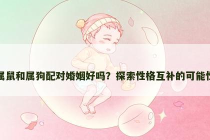 属鼠和属狗配对婚姻好吗?探索性格互补的可能性 属鼠和属狗配对婚姻好吗?探索性格互补的可能性