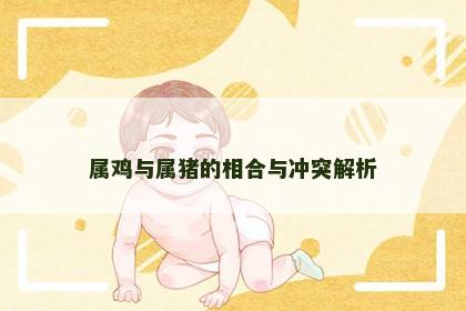 属鸡与属猪的相合与冲突解析 属鸡与属猪的相合与冲突解析