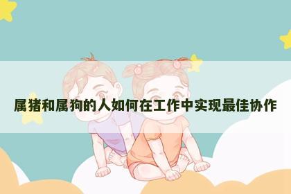 属猪和属狗的人如何在工作中实现最佳协作 属猪和属狗的人如何在工作中实现最佳协作