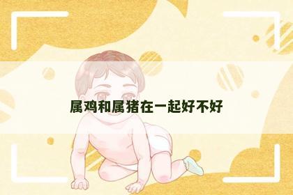 属鸡和属猪在一起好不好 属鸡和属猪在一起好不好