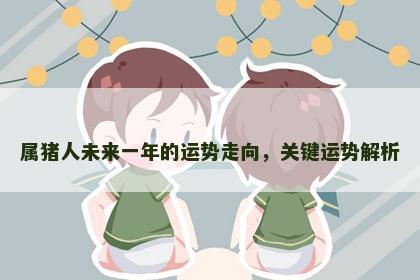 属猪人未来一年的运势走向，关键运势解析