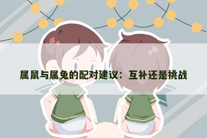 属鼠与属兔的配对建议:互补还是挑战 属鼠与属兔的配对建议:互补还是挑战